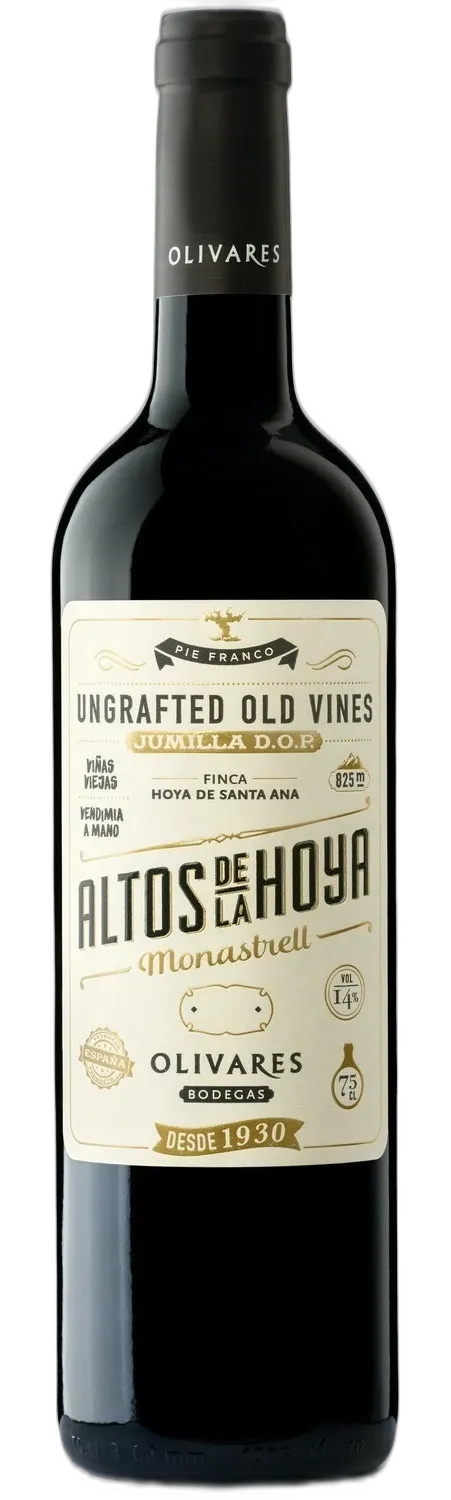 Altos de la Hoya Olivares