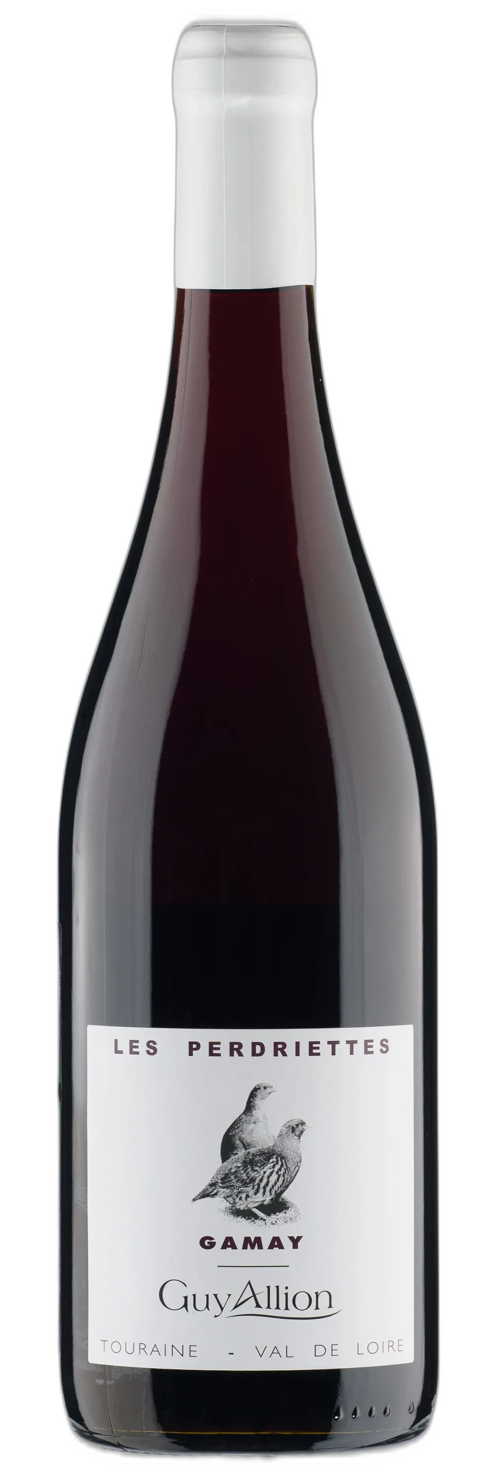 Gamay Les Perdriettes Guy Allion