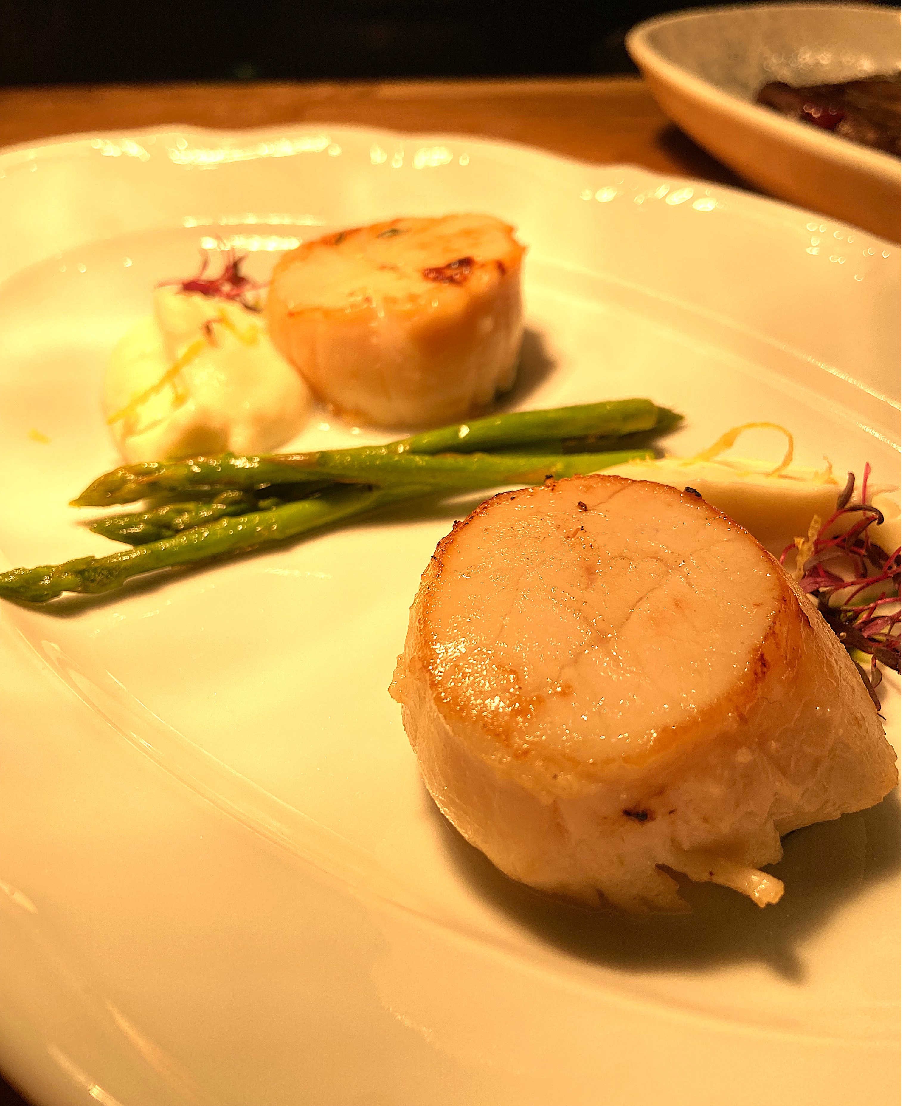 Морской гребешок