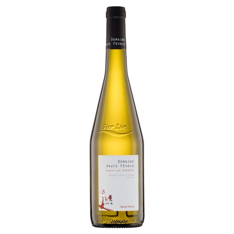 Muscadet Sevre et Maine AOC Sur Lie Loire France 2023 (glass)