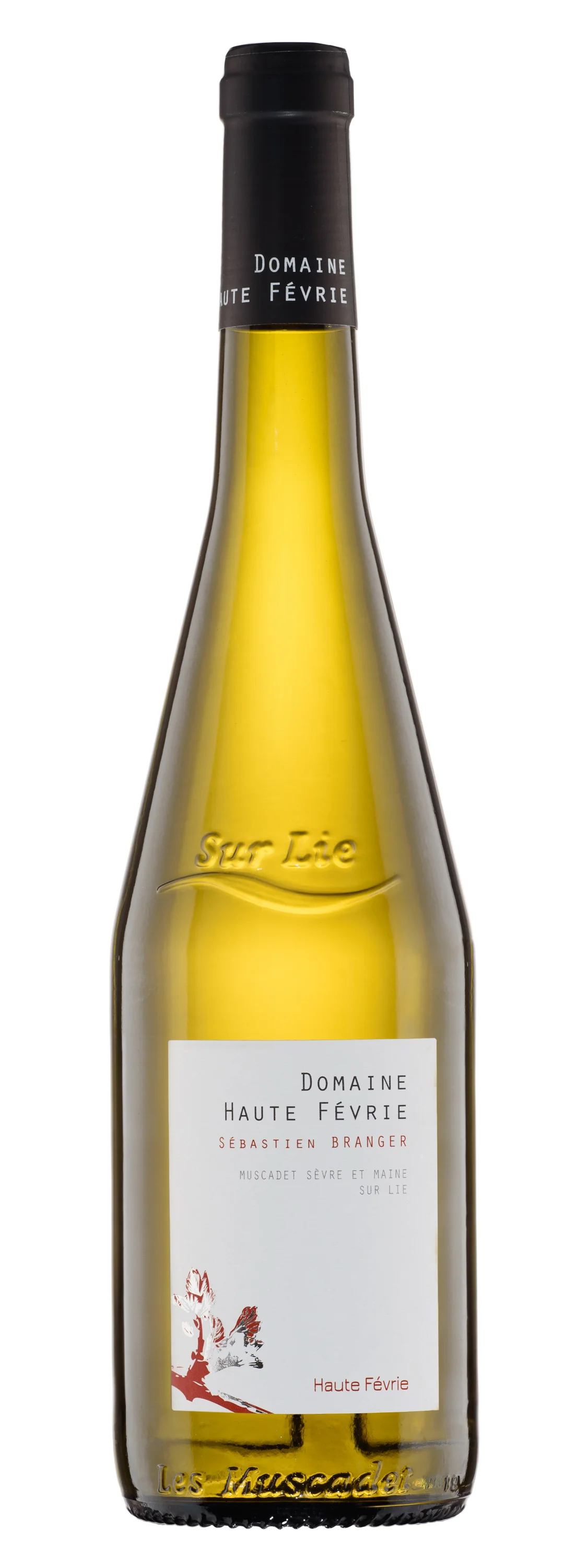 Muscadet Sèvre et Maine Sur Lie