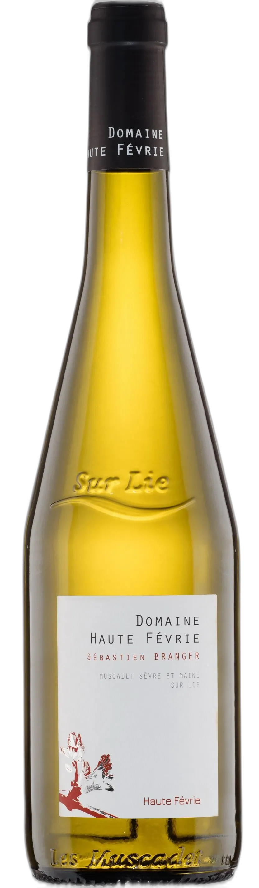 Muscadet Sèvre et Maine Sur Lie